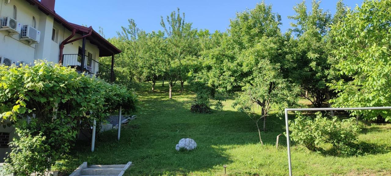 Villa Greenfield Σαράγεβο Εξωτερικό φωτογραφία